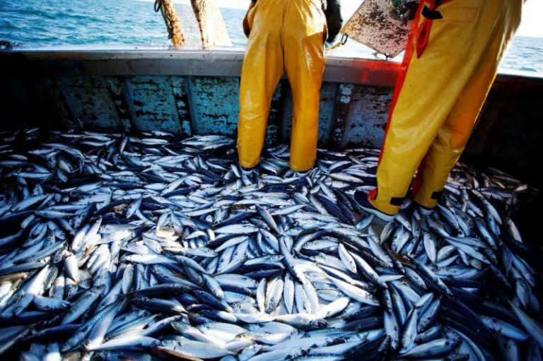 AG Report: Tanjung Bako Fisheries Port unsuccessful in achieving targeted 29,661 tonnes of fish catches