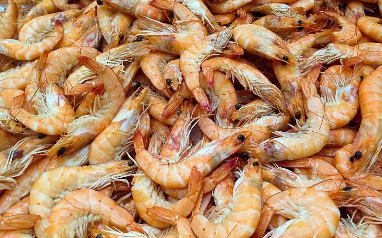 Protesters demand help for shrimp sellers after outbreak at Thai market
