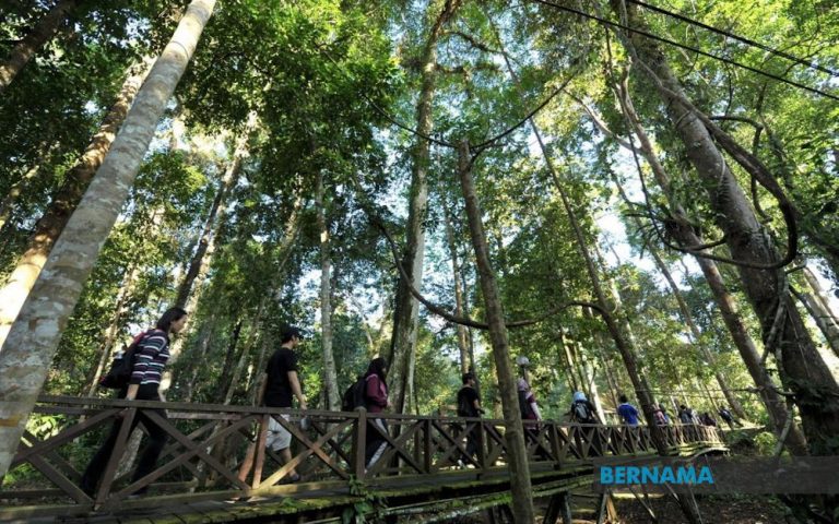 Over 100 flock to Tawau Park in Sabah after govt lifts CMC