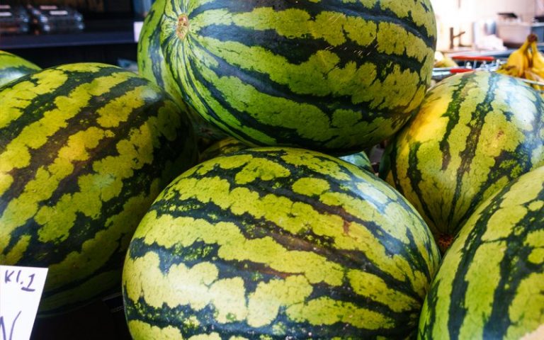 Tembikai, sedap dimakan tapi selalu silap memilih