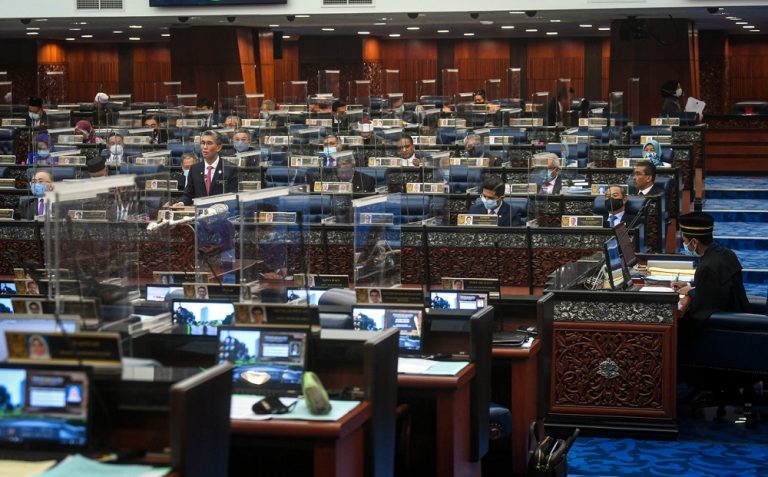 Budget for rebranded Jasa clears Dewan Rakyat at half its original sum of RM81.5m