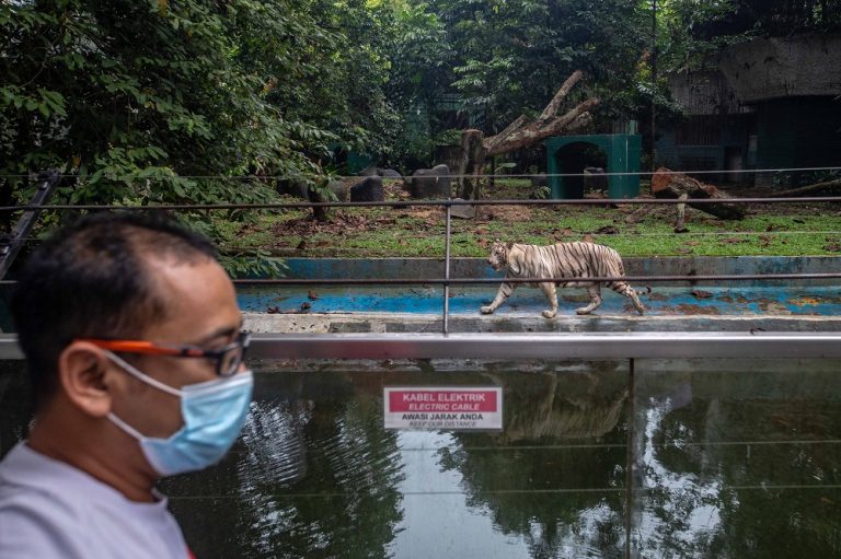 Safe, fun time for families keen to chase away CMCO blues at newly reopened Zoo Negara, Sunway Lagoon