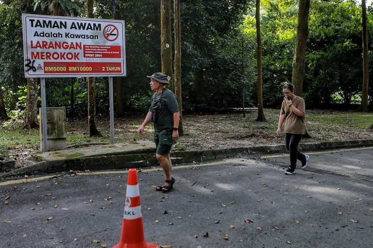 TTDI residents’ association urges KL authorities not to appeal Taman Rimba Kiara court decision for greater good of longhouse residents