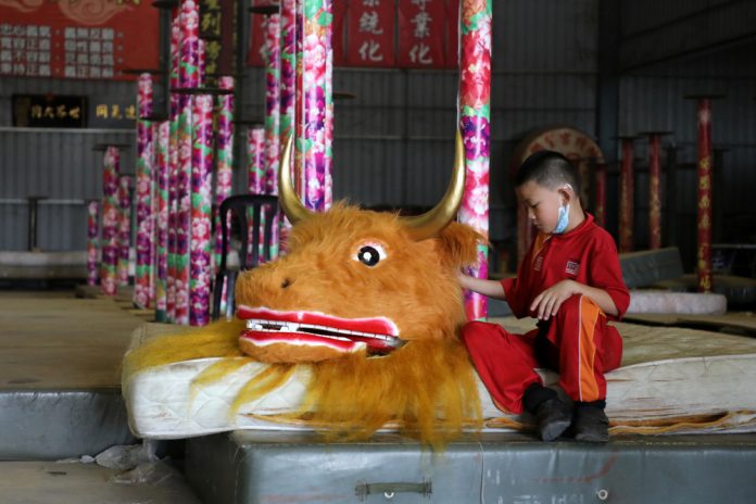 Malaysia’s gravity-defying lion dancers brought down to earth by pandemic