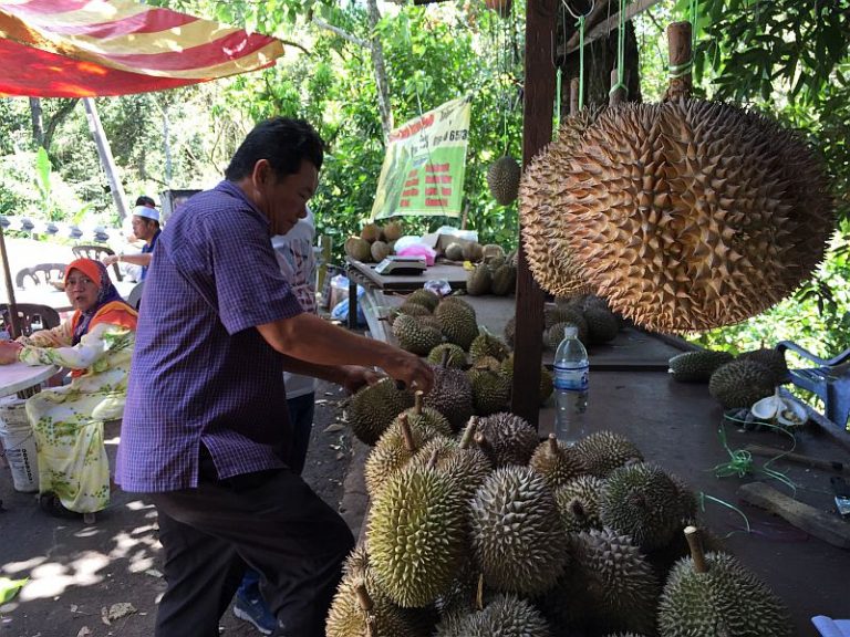 Malaysian durian trade battered as Covid-19 lockdown bites
