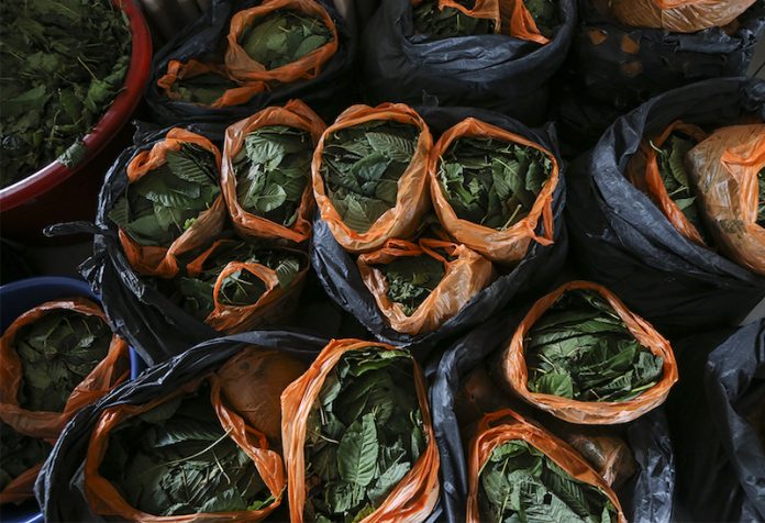 Nine arrested, 240kg of ketum leaves seized in Puchong