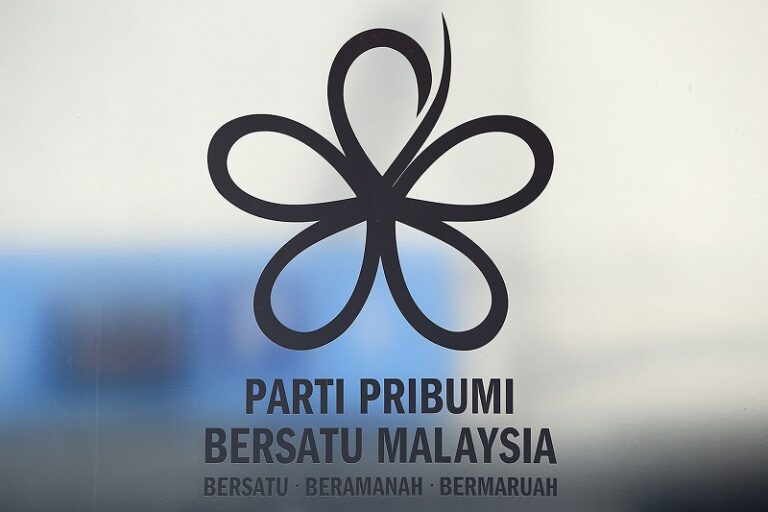 Shunned by Umno, Bersatu’s survival now rests with PAS, say analysts