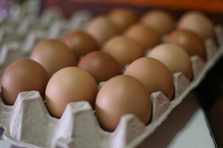 Domestic Trade and Consumer Affairs Ministry to monitor egg supply after alleged Salmonella discover