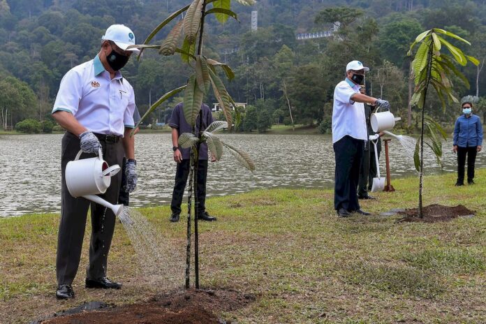 Malaysian Forestry Policy unites all states in forestry conservation efforts, says PM