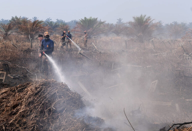 Firefighters battle forest fires in three Pahang districts