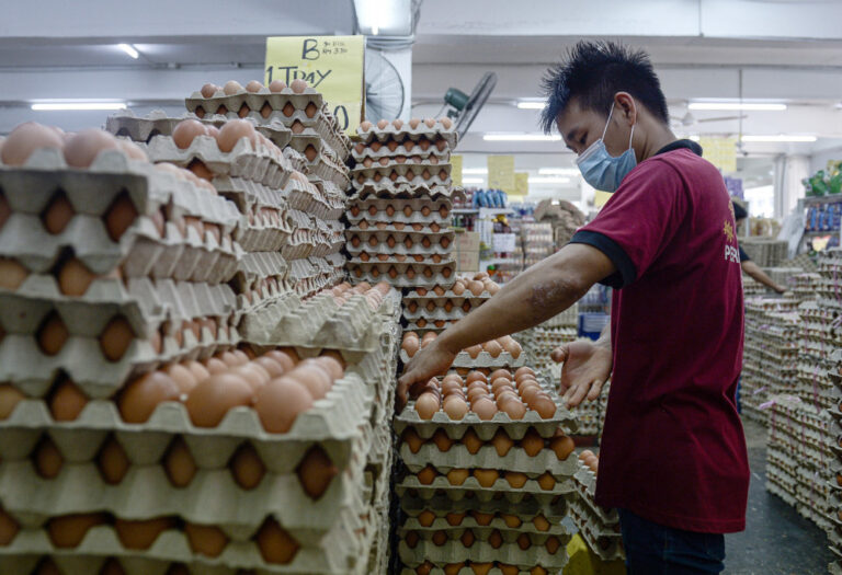 Veterinary Services Dept visits Kuala Selangor egg farm to obtain samples after alleged discovery of Salmonella