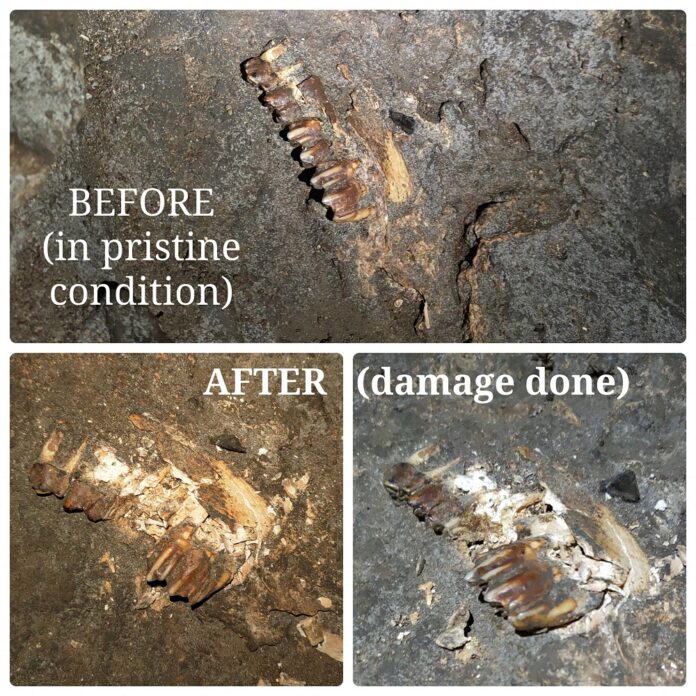 Authorities confirm Gua Matsoorat’s intrusion which damaged fossil, says ‘discussed’ matter with alleged perpetrator