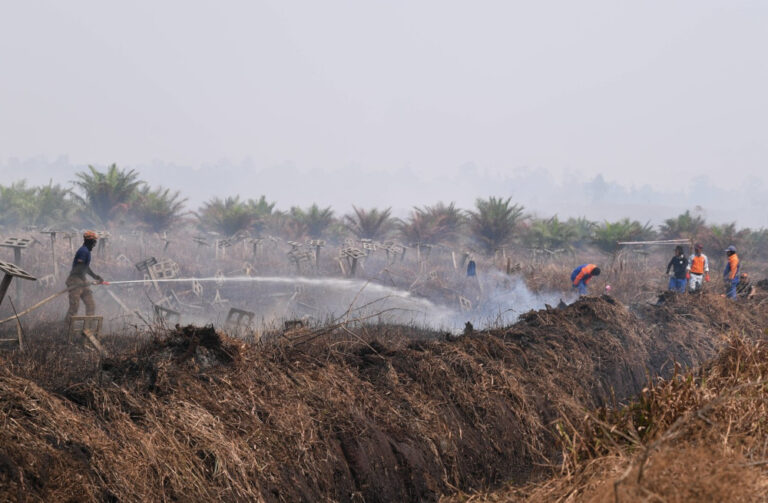 Selangor Fire and Rescue Dept: Five more days to extinguish Kuala Langat Selatan forest fire
