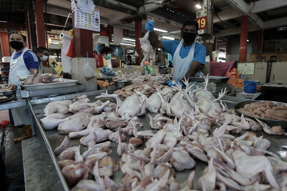 Domestic Trade Ministry issues notices following rise in chicken prices during Ramadan