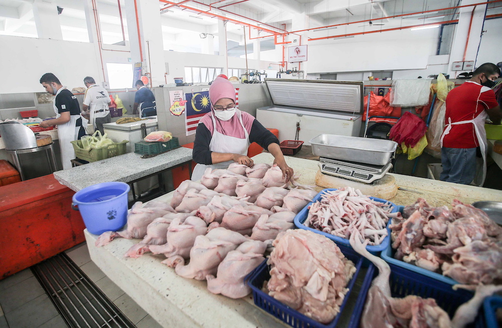 Domestic Trade Ministry keeping close eye on poultry prices in Negri Sembilan