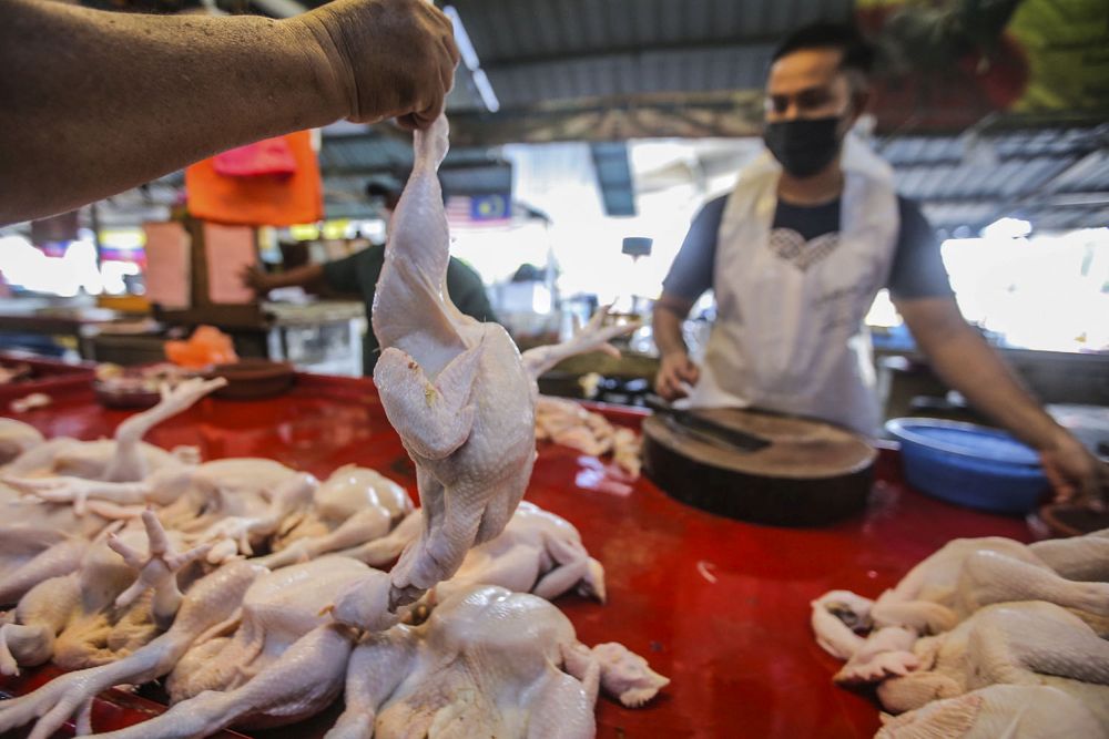 Chicken price stabilised through Maximum Price Control Scheme, says ministry sec-gen