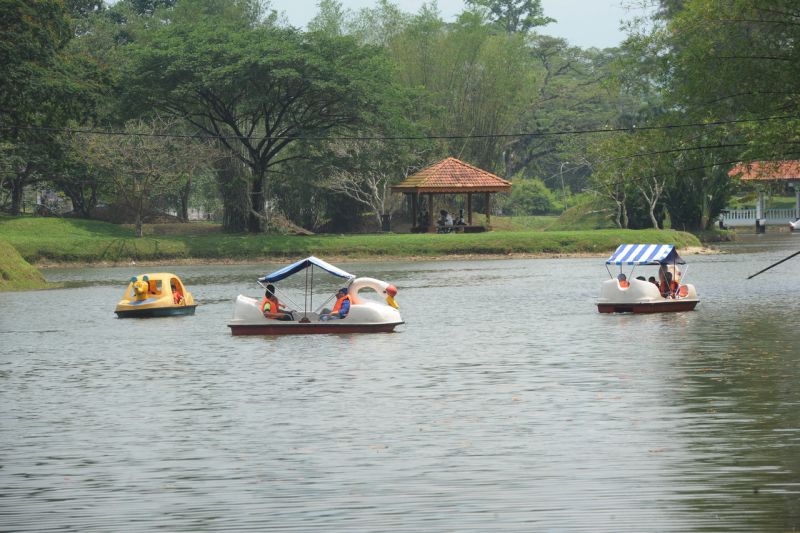 Hunt for macaque that attacked jogger at Taiping Lake Gardens