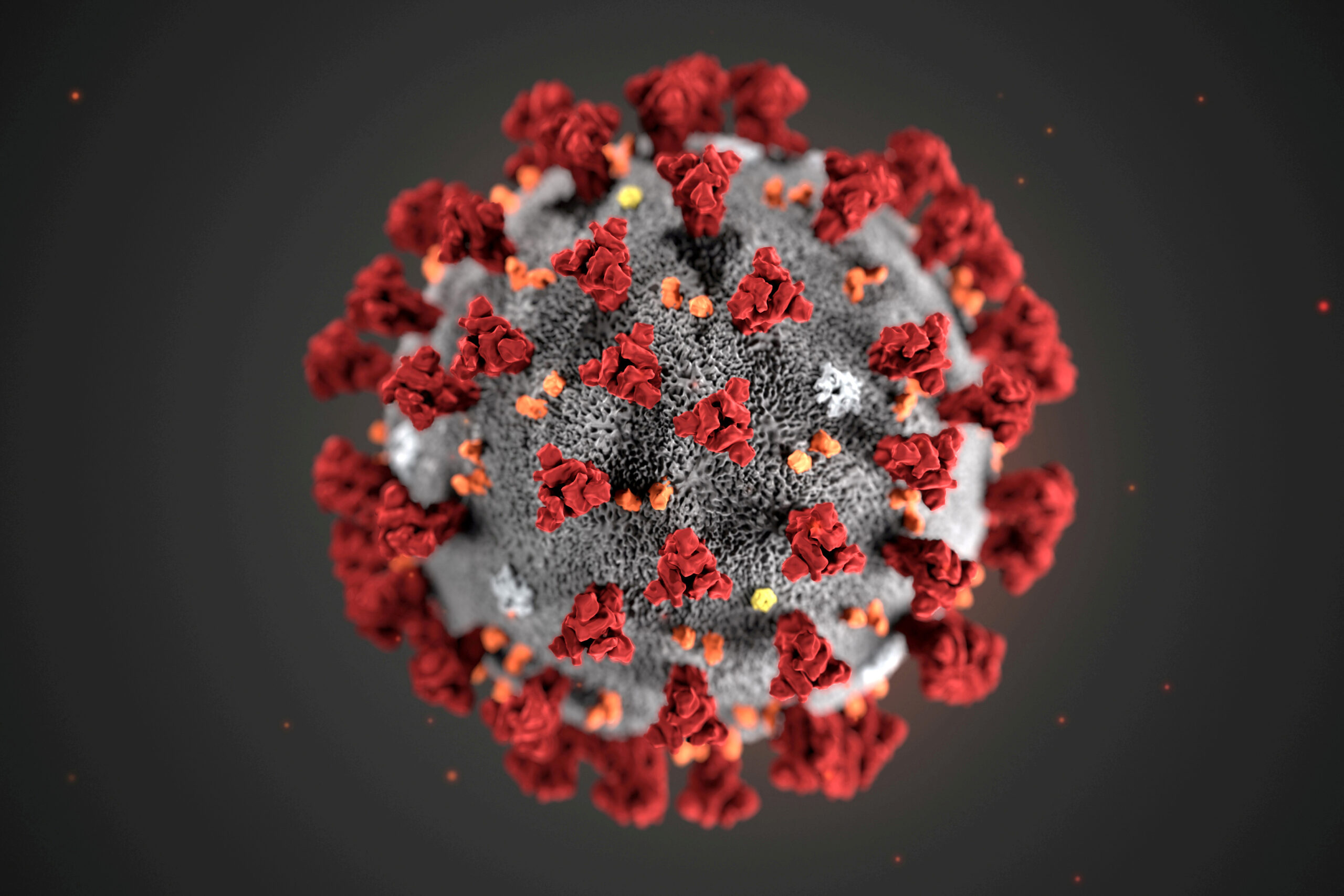 SARS-CoV-2 isn’t the only coronavirus known to humankind. But how many are there?