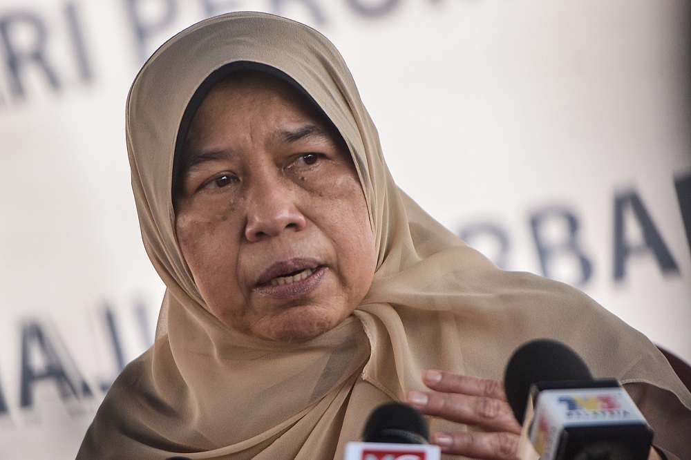 Zuraida: Malaysians must help counter Israeli propaganda online