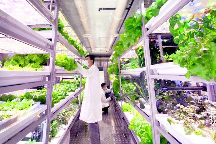 How a Malaysian company born during the pandemic is championing harvest-to-table in Kuala Lumpur