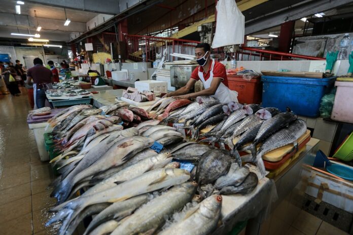 Agriculture Ministry: Current stock of fish supply in Malaysia sufficient