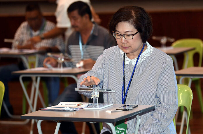 Investigate turtle egg claims seriously, Sabah opposition leader tells authorities