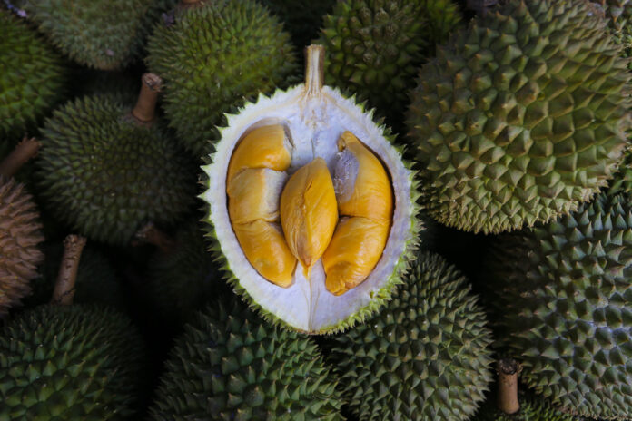 No medical evidence people can’t eat durian after Covid-19 vaccination, says deputy health minister