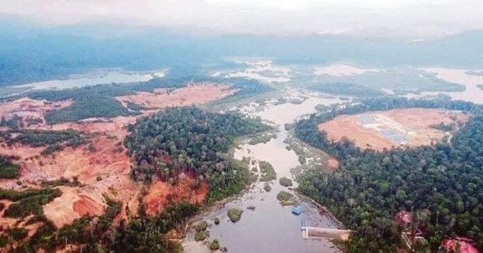 Pahang Regent wants mining at Chini Lake stopped, calls for expansion of forest reserve