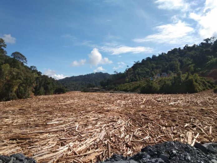 Sarawak Energy says on high alert on impact of floating timber debris on Baleh dam
