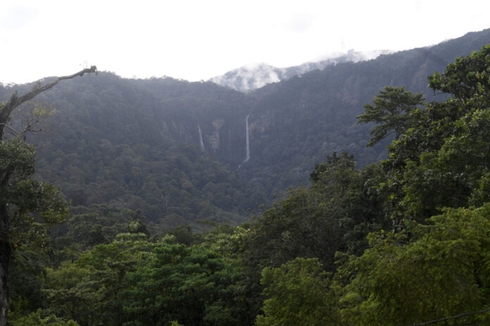 Thirteen resort centre staff stranded in Gunung Jerai safely descend this evening, say police
