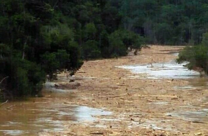 WWF-Malaysia wants culprits responsible for logjam to be held accountable