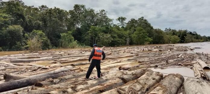 Sibu Marine Police seize 300 illegal logs worth RM200,000