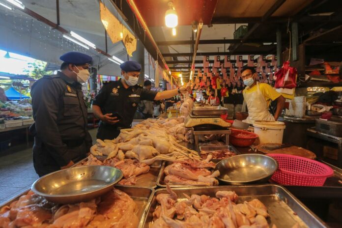 Domestic Trade Ministry: Price of chicken on downward trend at markets