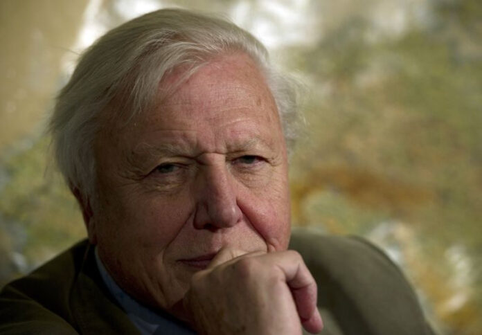 Each day without climate action is 'a day wasted', says UK's Attenborough