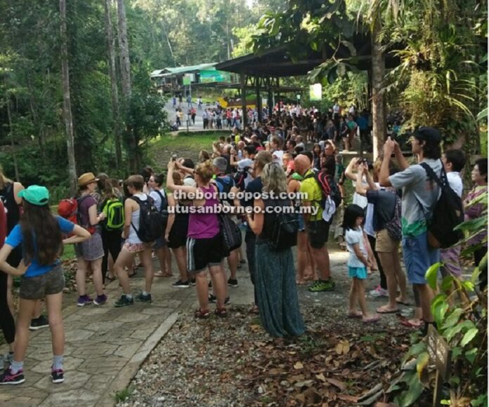 'Jom Ke Sarawak' tourism campaign begins on Shopee