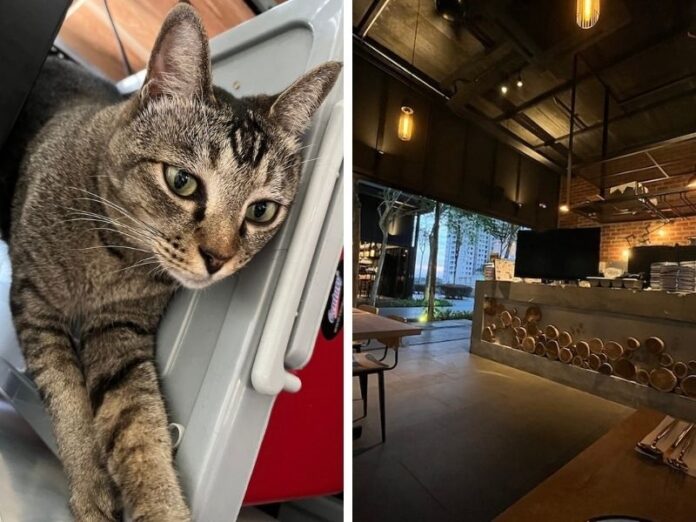 Nothing unlucky about the iPhone 13 and 13 mini