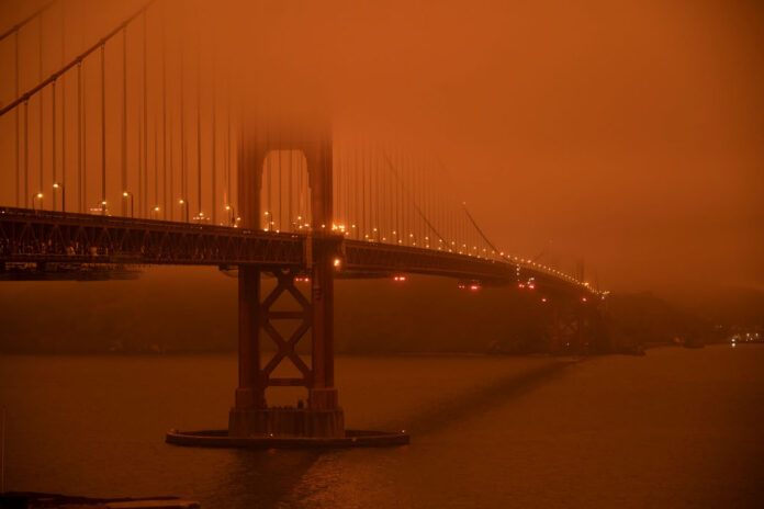 San Francisco declares downtown emergency over drug deaths