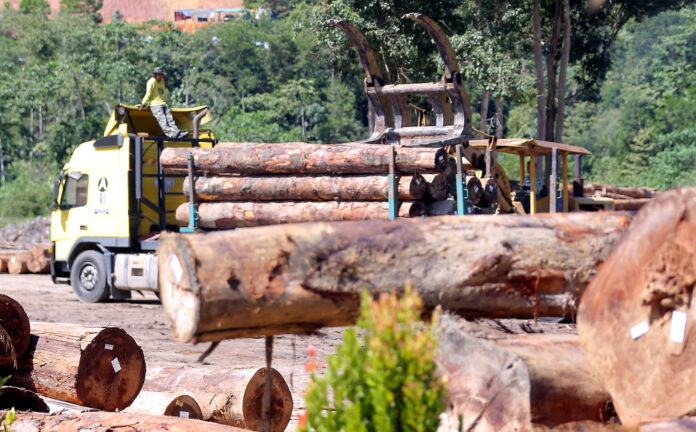 Kelantan Forestry Dept denies footage showing logging activity took place near Gua Musang, tiger habitat