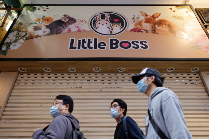 Hong Kong orders hamster cull after Covid-19 hits pets
