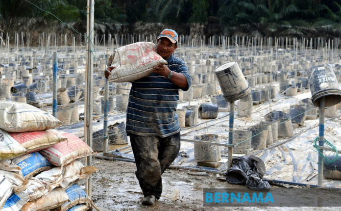 National agrofood sector suffers over RM67m in losses due to floods, says deputy minister