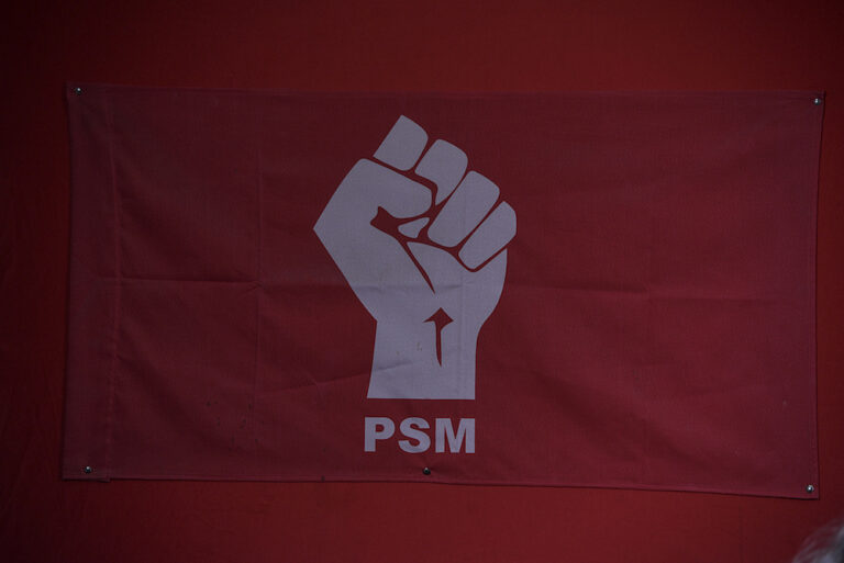 Johor polls: Emergence of new parties sign of maturing democracy, says PSM chief