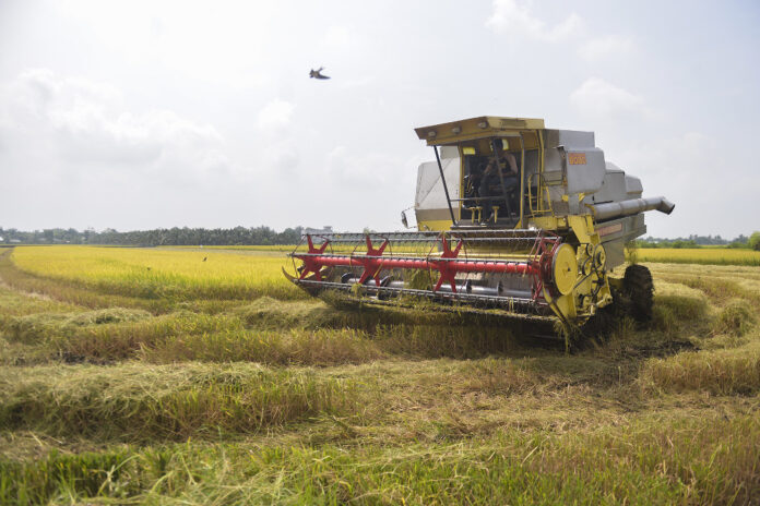 Perak MB: Drop in Bukit Merah Dam water level affecting paddy farmers, industrial sector