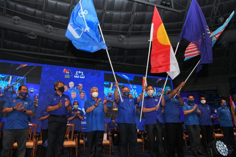 Johor polls: BN confident of attracting Chinese voters, says Umno sec-gen