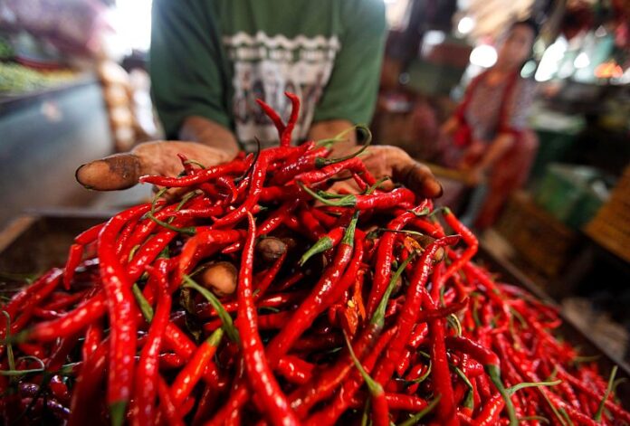 In Sabah, supply shortage hikes price of chillies to RM50-RM100 a kilogramme