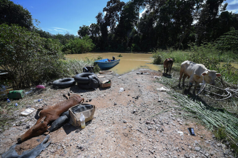 Flood relief: Agriculture and Food Industries Ministry allocates RM5.6m to help 455 breeders