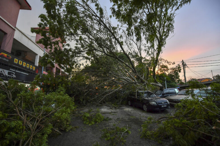 In Dengkil, 20 vehicles damaged by falling trees during heavy rain in Cyber Valley