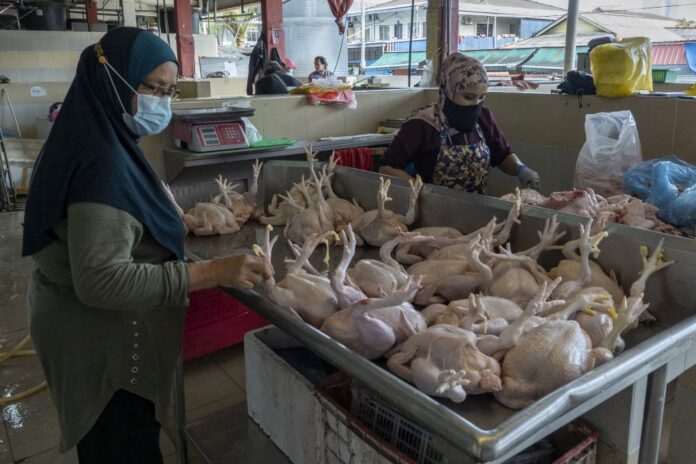 Selangor govt sets ceiling price for chicken at RM8 per kg, says MB