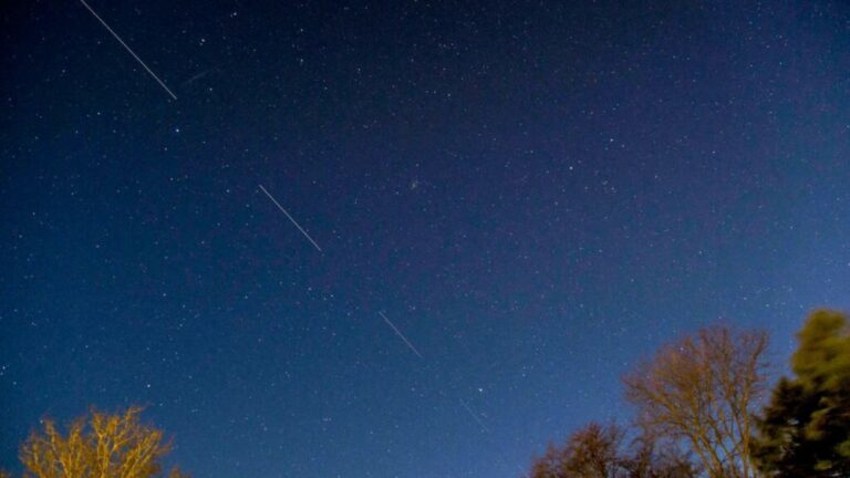 Musk activates Starlink internet service in Ukraine