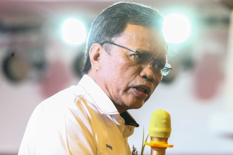 Johor polls: Warisan throws hat into the ring with first seat announcement