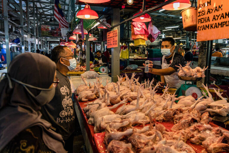 Agriculture and Food Industries Ministry says claims that chicken supply chain in turmoil not true